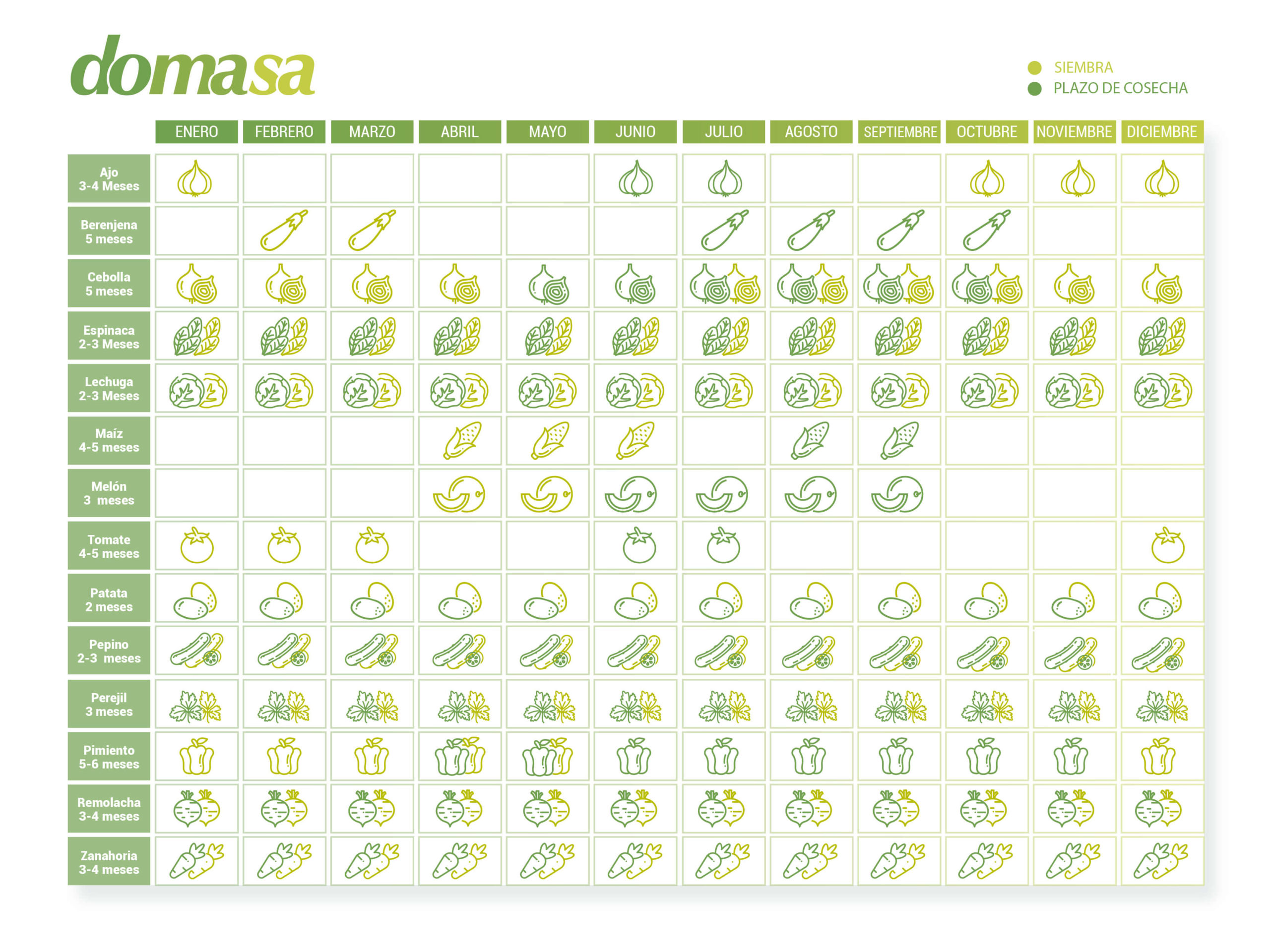 ¿Qué es un huerto urbano? 1 calendario siembra huerto urbano scaled